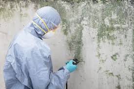 Best Air Quality Testing for Mold Spores  in San Felipe, TX